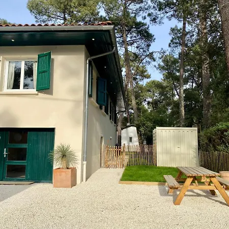 Nid De Ruben, Naou Hossegor Wifi Netflix Sauna *