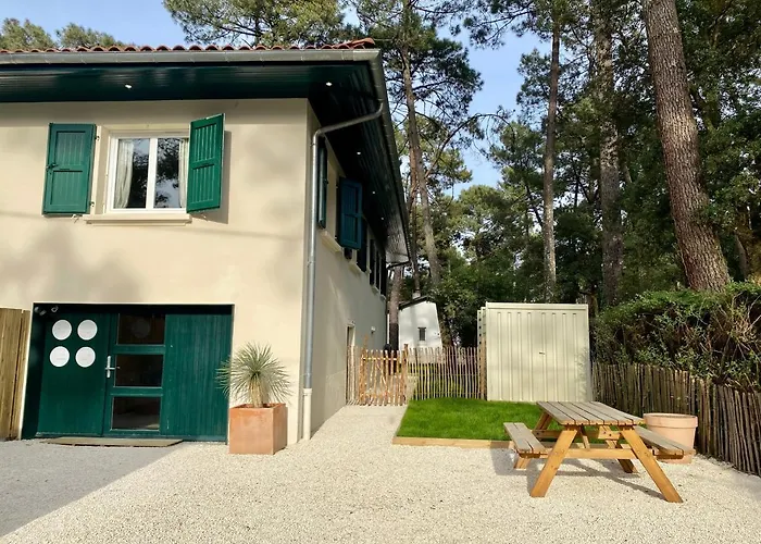 Nid De Ruben, Naou Hossegor Wifi Netflix Sauna *