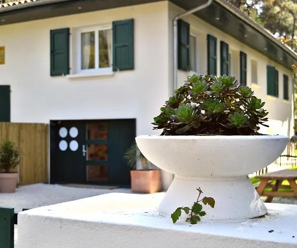 Apartmán Nid De Ruben, Naou Hossegor Wifi Netflix Sauna Soorts-Hossegor